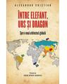 Copertă produs &Icirc;ntre elefant, urs și dragon. Spre o nouă arhitectură globală - thumb 1