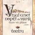 Copertă produs Visul unei nopți de vară. Cum vă place - gallery small 