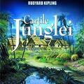 Copertă produs Cărţile junglei - gallery small 