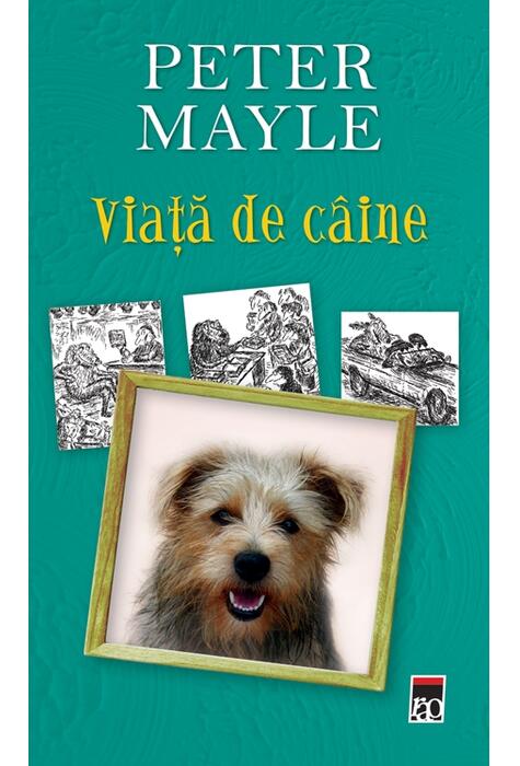 Copertă produs Viaţă de c&acirc;ine