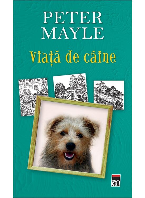 Copertă produs Viaţă de c&acirc;ine - gallery big 1