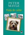 Copertă produs Viaţă de c&acirc;ine - thumb 1