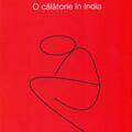 Copertă produs O călătorie în India. Melancolie contemporană (un itinerariu) - gallery small 
