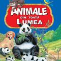 Copertă produs Animale din toată lumea - gallery small 