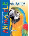 Copertă produs Recunoașteți animalele sălbatice. Papagal - thumb 1