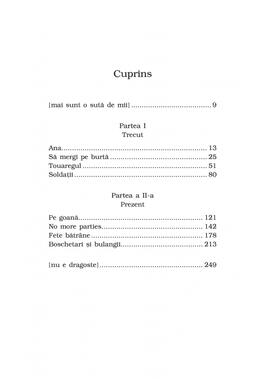Copertă produs Soldaţii. Poveste din Ferentari (Top 10+)