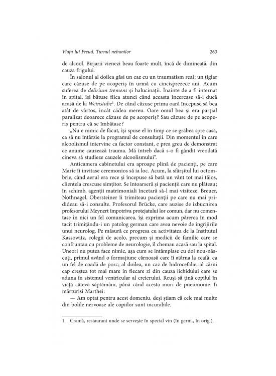 Copertă produs Viața lui Freud. Turnul nebunilor (Vol. I) - gallery big 9