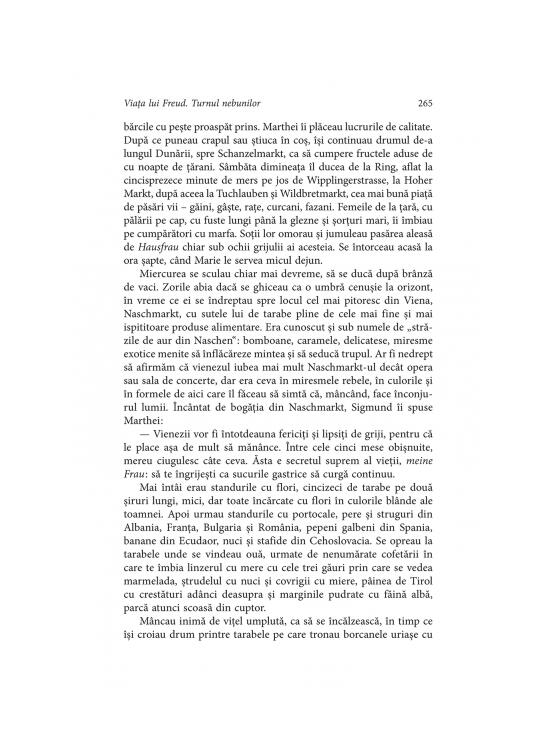 Copertă produs Viața lui Freud. Turnul nebunilor (Vol. I) - gallery big 11