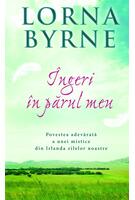 Copertă produs Îngeri în părul meu