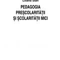 Copertă produs Pedagogia preșcolarității și școlarității mici - gallery small 