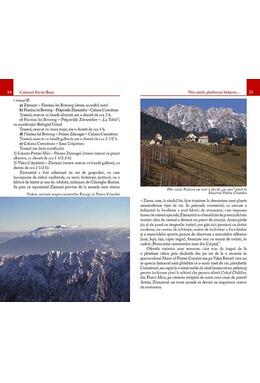 Copertă produs Culoarul Rucăr-Bran