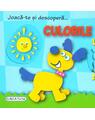 Copertă produs Joacă-te și descoperă... Culorile - thumb 1
