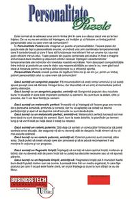 Copertă produs Personalitate Puzzle. Studiază personalitatea fiecăruia şi vei avea un loc de muncă productiv, bine organizat, captivant şi reconfortant!