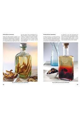 Copertă produs Producerea pălincii şi a lichiorului &icirc;n gospodărie