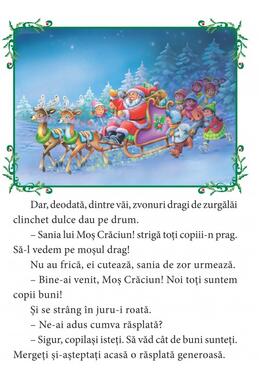 Copertă produs Sărbători cu surprize