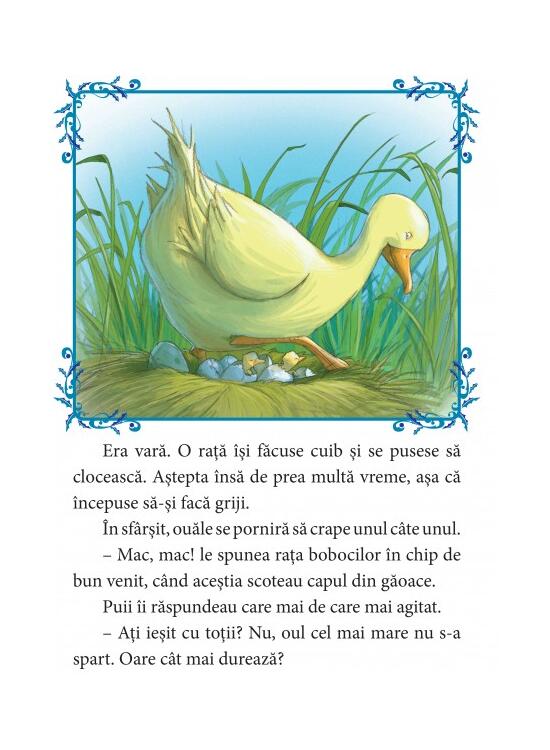 Copertă produs Răţuşca cea urâtă - gallery big 2