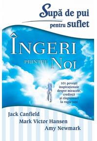 Copertă produs Supă de pui pentru suflet. Îngeri printre noi. 101 poveşti inspiraţionale despre miracole, credinţă şi răspunsuri la rugăciuni