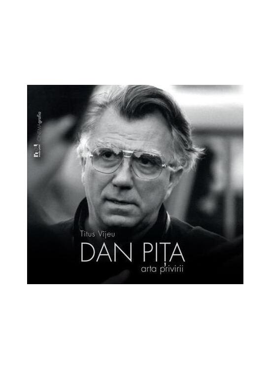 Copertă produs Dan Piţa. Arta privirii - gallery big 1