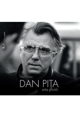 Copertă produs Dan Piţa. Arta privirii