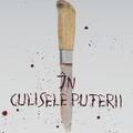 Copertă produs &Icirc;n culisele puterii - gallery small 
