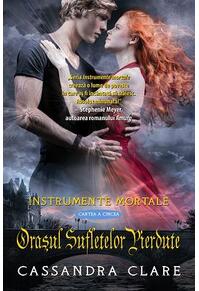 Copertă produs Orașul sufletelor pierdute (Vol. 5)