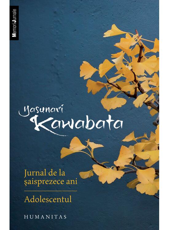 Copertă produs Jurnal de la șaisprezece ani. Adolescentul - gallery big 1