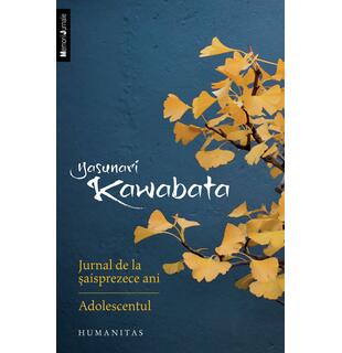 Jurnal de la șaisprezece ani. Adolescentul
