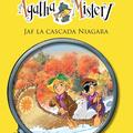 Copertă produs Jaf la cascada Niagara (Vol. 4) - gallery small 
