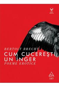 Copertă produs Cum cucerești un &icirc;nger
