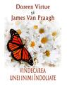 Copertă produs Vindecarea unei inimi &icirc;ndoliate - thumb 1