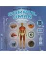 Copertă produs Prima mea enciclopedie. Corpul uman - thumb 1