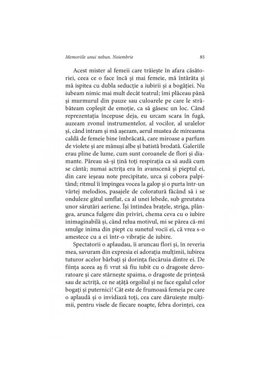 Copertă produs Memoriile unui nebun. Noiembrie - gallery big 9