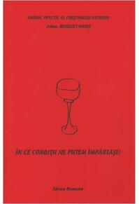 Copertă produs &Icirc;n ce condiţii ne putem &icirc;mpărtăşi