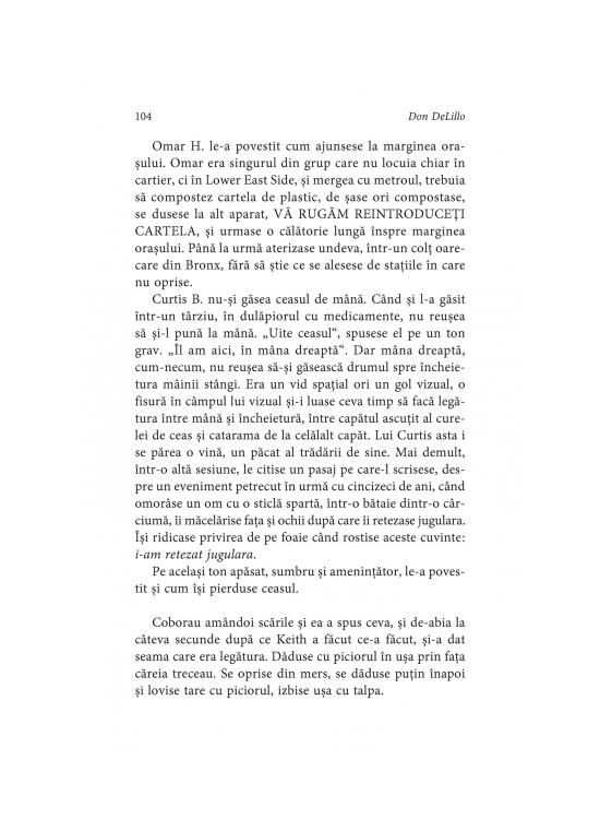 Copertă produs Omul căzător - gallery big 5