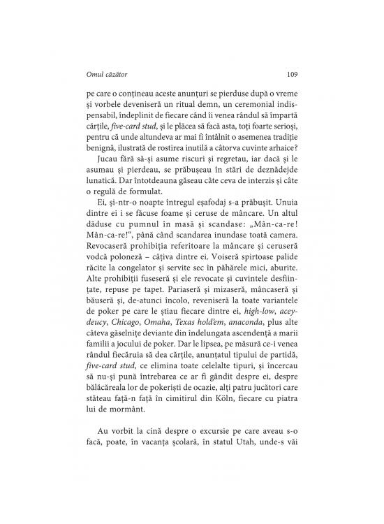 Copertă produs Omul căzător - gallery big 10