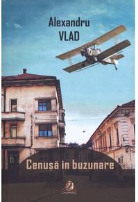 Copertă produs Cenușă &icirc;n buzunare