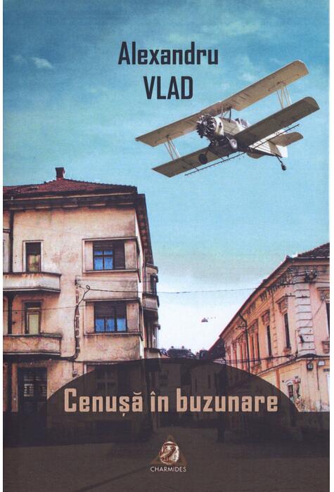 Copertă produs Cenușă &icirc;n buzunare