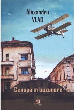 Copertă produs Cenușă &icirc;n buzunare