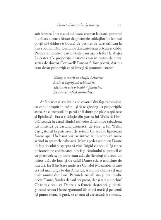 Copertă produs Portret al artistului la tinereţe - gallery big 5