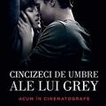 Copertă produs Cincizeci de umbre ale lui Grey (Vol. I) - gallery small 