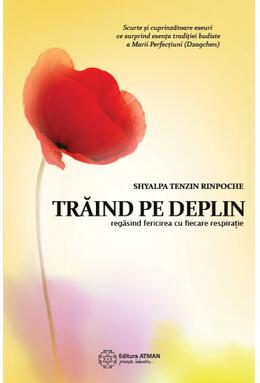 Copertă produs Trăind pe deplin regăsind fericirea cu fiecare respirație