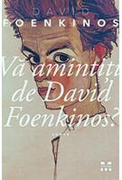 Copertă produs Vă amintiți de David Foenkinos ?