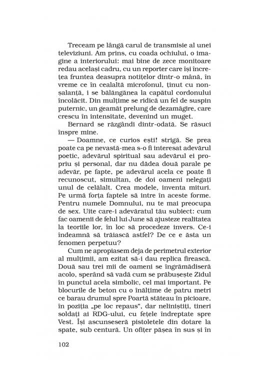 Copertă produs Câinii negri (Top 10+) - gallery big 6