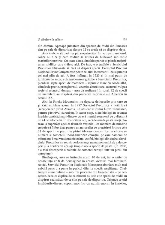 Copertă produs O plimbare în pădure. Redescoperind America pe cărările Munţilor Apalaşi - gallery big 10