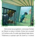 Copertă produs Hansel şi Gretel - gallery small 