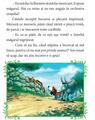 Copertă produs Muzicanții din Bremen - thumb 2