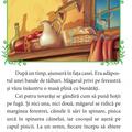 Copertă produs Muzicanții din Bremen - gallery small 