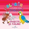 Copertă produs Colorăm şi &icirc;nvăţăm limba engleză. Nr.3. Insecte şi păsări - gallery small 