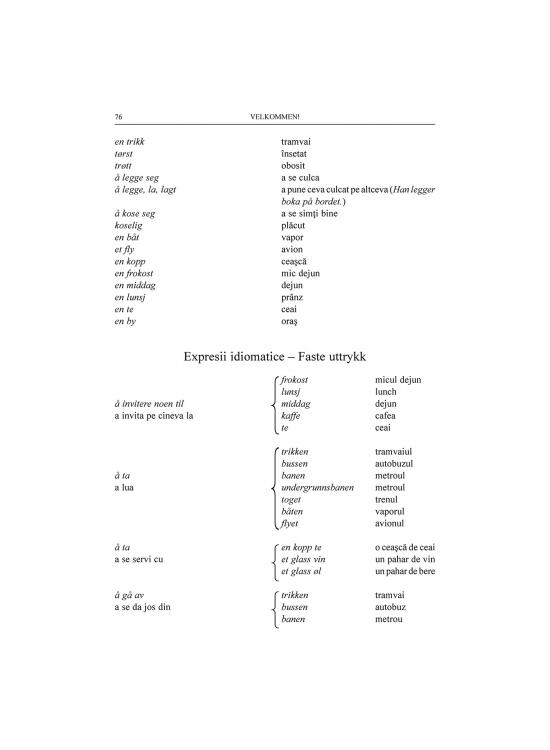 Copertă produs Velkommen! Manual de conversaţie &icirc;n limba norvegiană - gallery big 12
