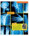 Copertă produs Enciclopedia corpului uman - thumb 3